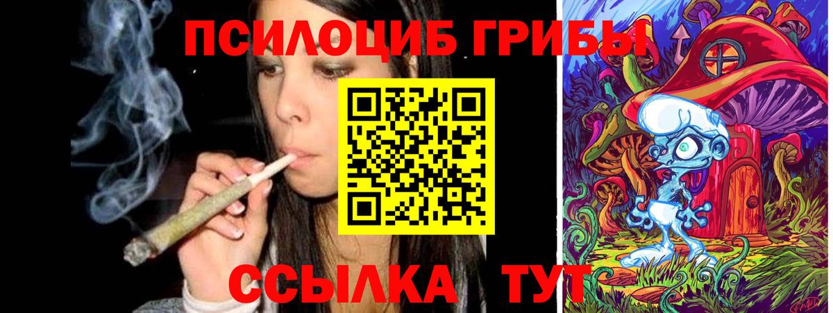 Псилоцибиновые грибы Cubensis  Вход с VPN  где найти наркотики  Липецк 